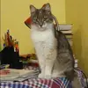 Отзыв от Ираида Пирогова